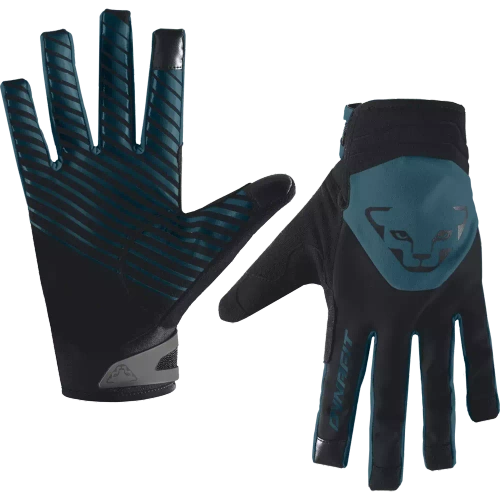 Rękawice Dynafit Radical 2 Softshell Gloves - storm blue